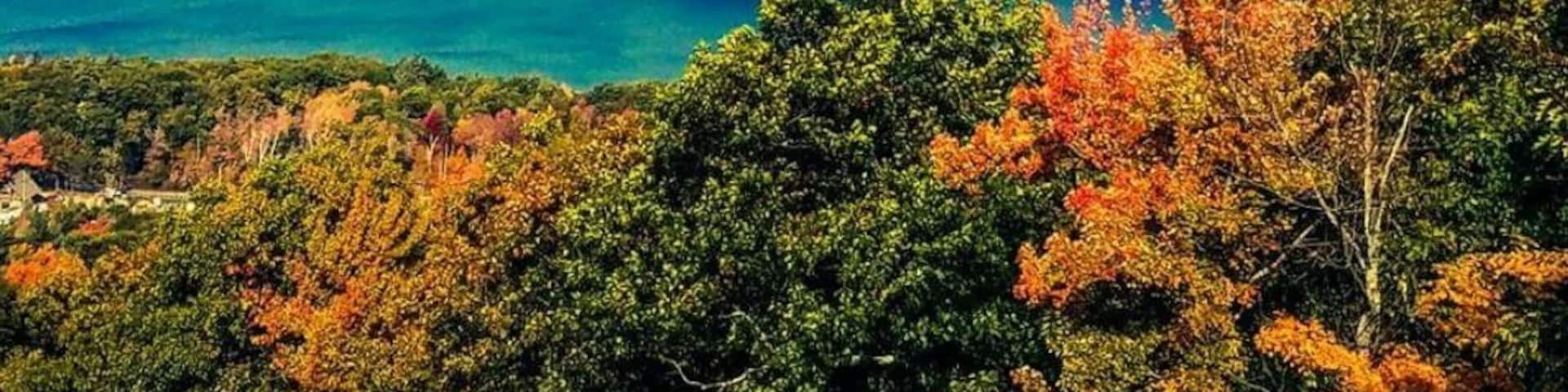 Wonderful hike to do in the fall!
#takeahike
#explore