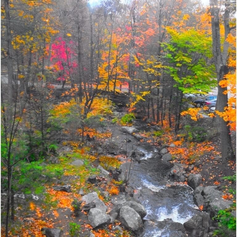 Walking over the covered bridge looking north. Just such a nice spot. 