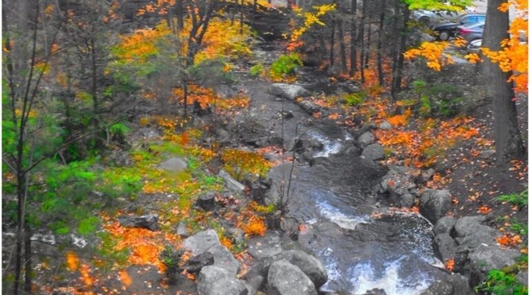 Walking over the covered bridge looking north. Just such a nice spot.