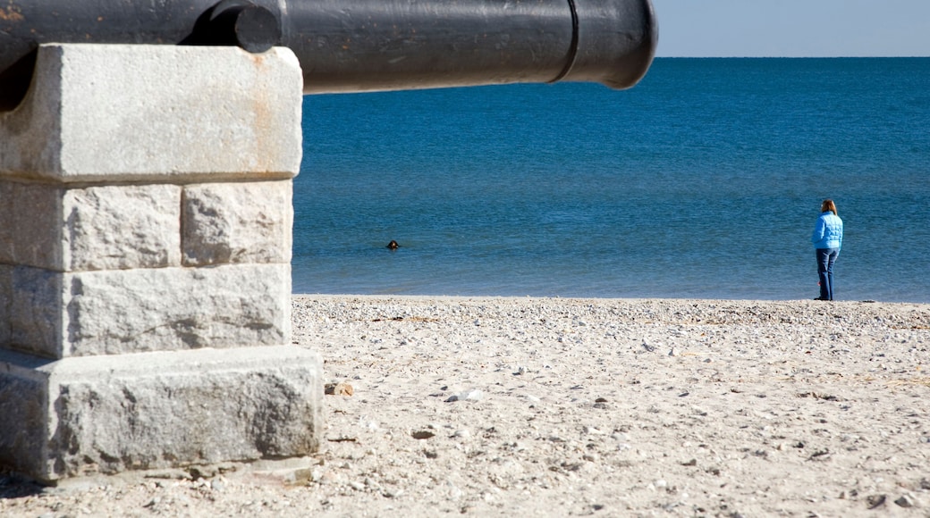 Cannons at Compo Beach, CT, USA
