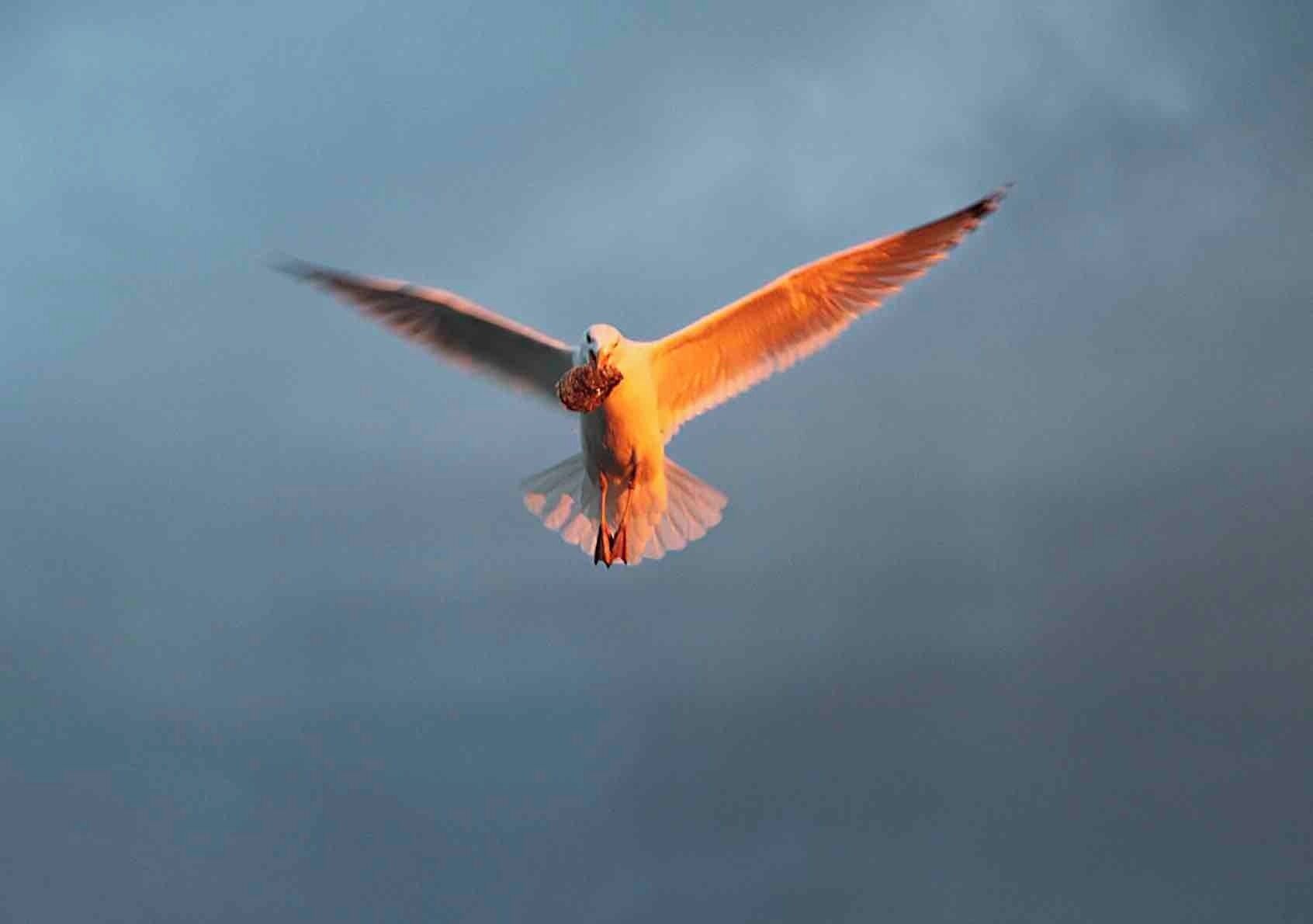 Westport Compo Beach