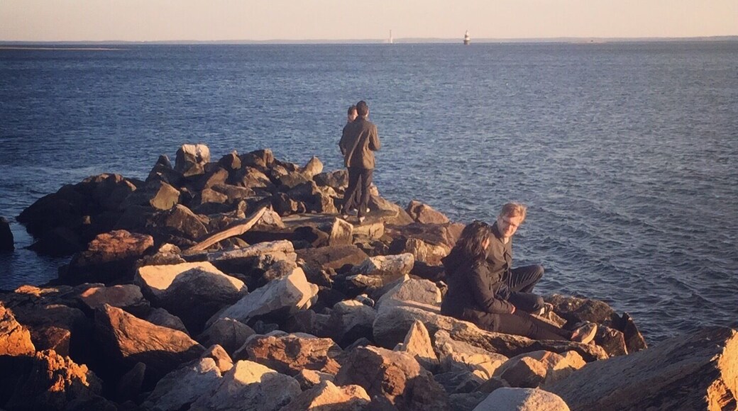 Just over an hour from Manhattan, Westport is probably best known for being home to Bridgewater, the world's top performing hedge fund. It also makes for an excellent weekend getaway with abundant Airbnbs.