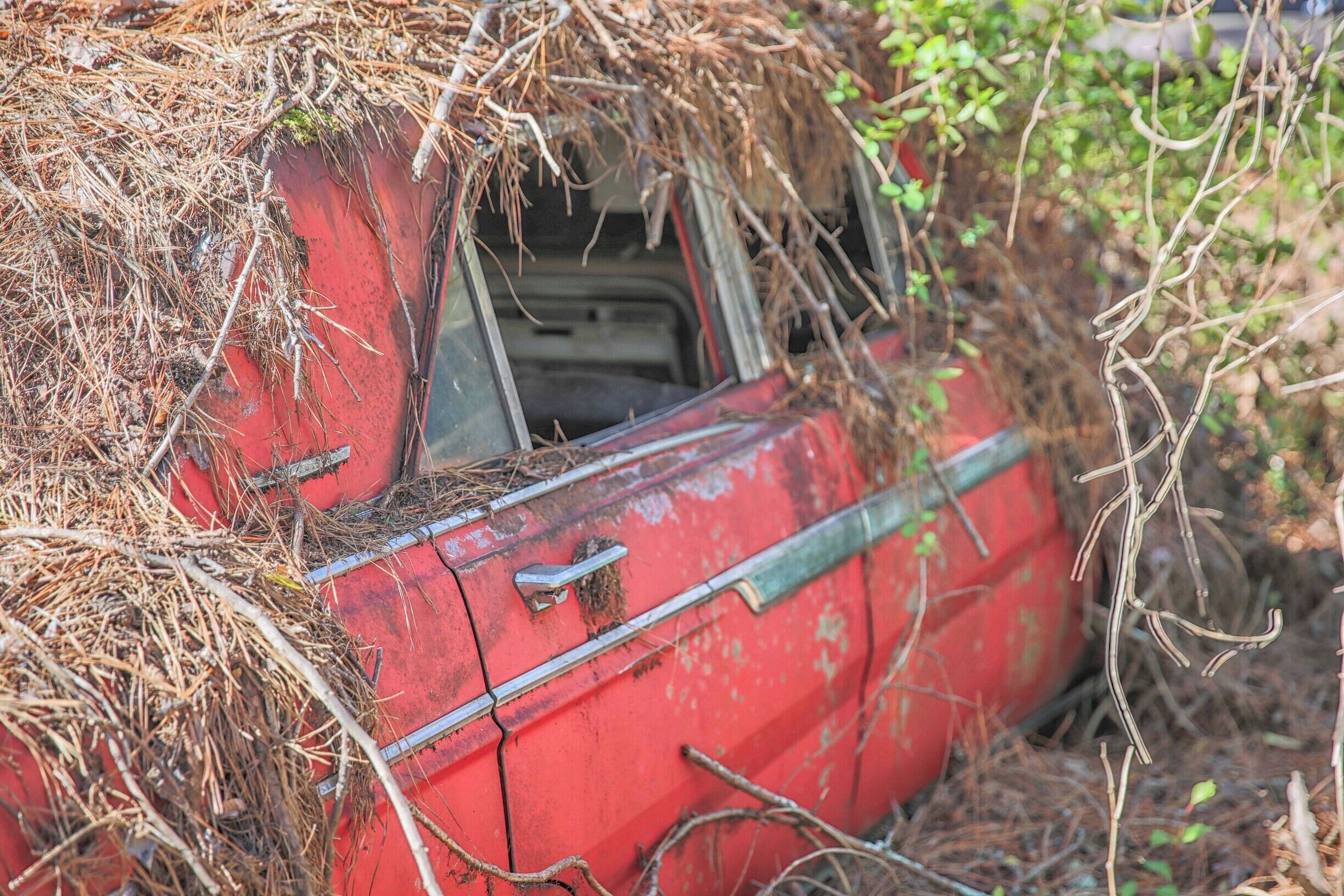 Cool car junkyard 1 hour north of Atlanta. 4000 cars over 6 miles of trails. 