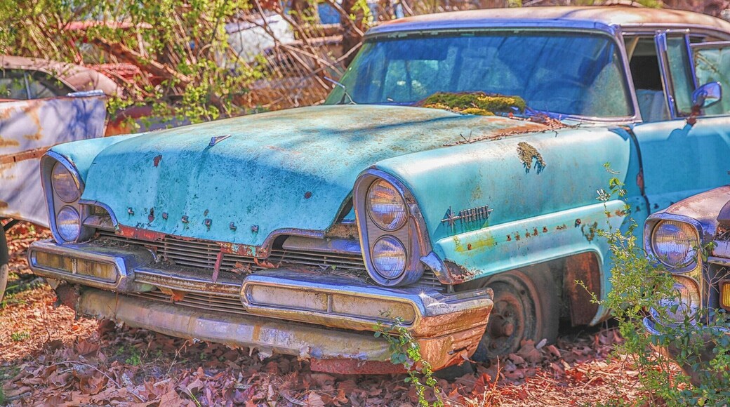 A very cool car junkyard 1 hour north of Atlanta with 6 miles of trails with 4000 very old and junky cars.