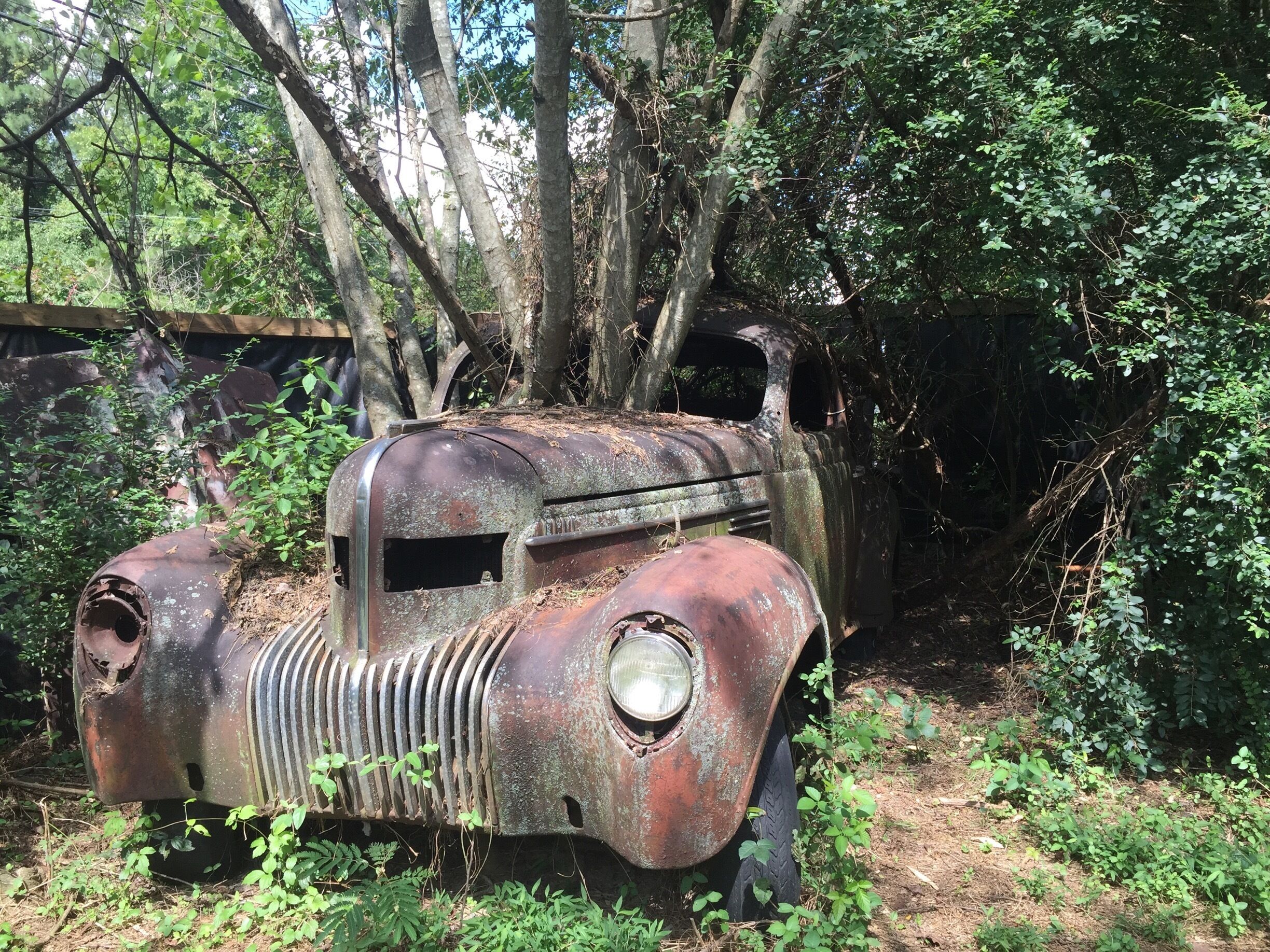 If you like old timeless vintage cars and hiking, you'll love Old Car City USA. Right on Ga Hwy 411, just park and stroll the over 30 acres and see the past come alive. The largest known junkyard in the world. 