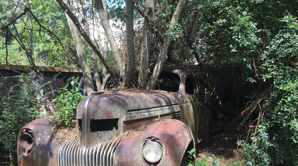 If you like old timeless vintage cars and hiking, you'll love Old Car City USA. Right on Ga Hwy 411, just park and stroll the over 30 acres and see the past come alive. The largest known junkyard in the world.