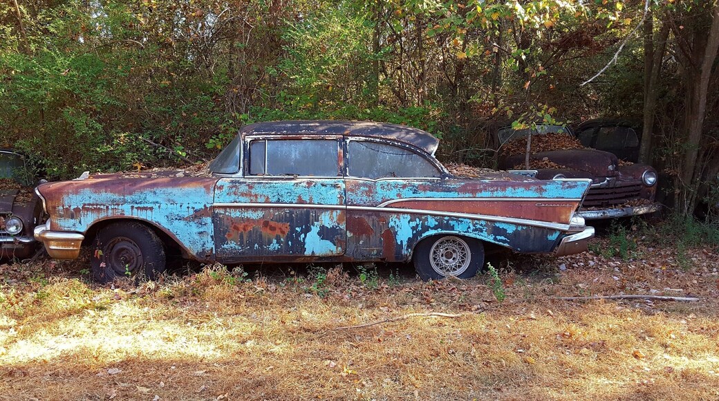 Old Car City in White, Georgia contains the world's largest known classic car junkyard. Old Car City started as a Car Dealership in 1931 and is still family owned and operated. .
Open: Wednesday – Saturday from 9:00am to 4:00pm