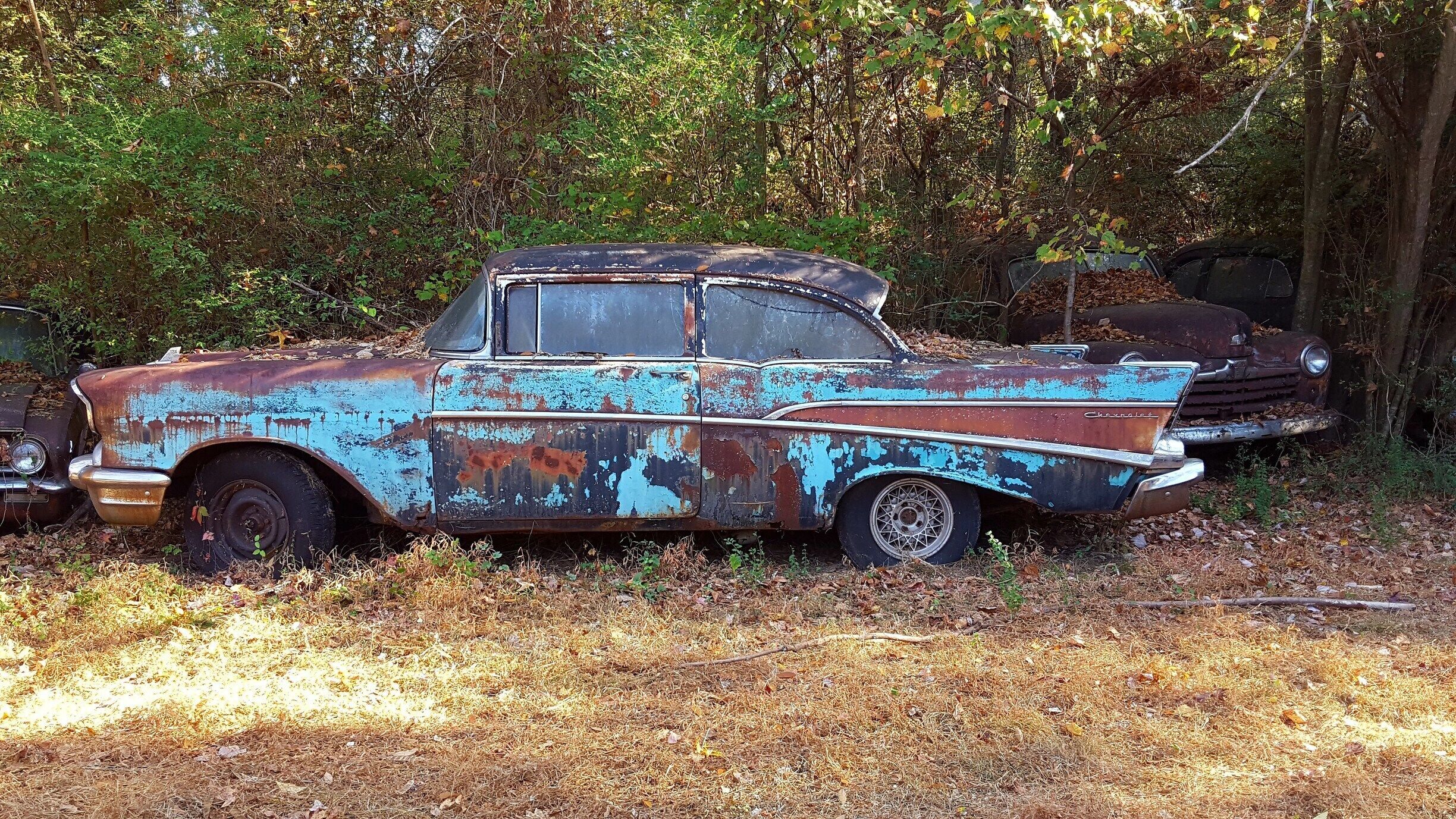 An old, rusted Chevrolet car in a wooded area.