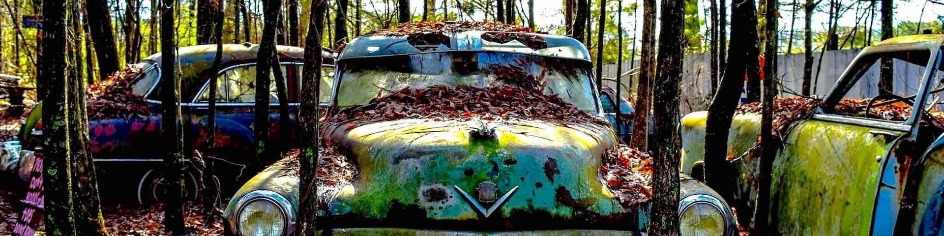~30 acres of old cars in the woods and in varying states of decay. Love this crazy place. Fantastic place for photos. They charge extra if you come in with a camera but it’s well worth it.