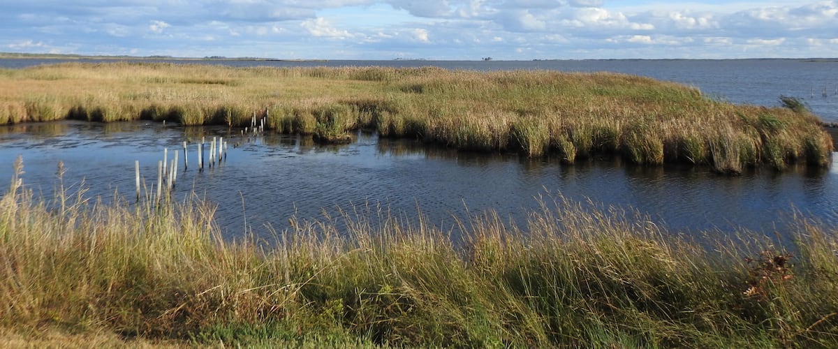 The beautiful scenery of the wetlands within the Blackwater National Wildlife Refuge, during the autumn season, Dorchester County, Cambridge, Maryland.
