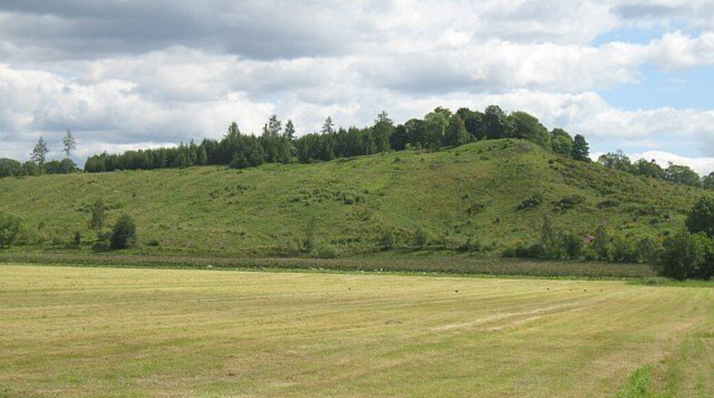 Fir Hill A small hill signalling the end of the flatness of Flanders Moss. The field in the foreground may well have been reclaimed from the bogs.