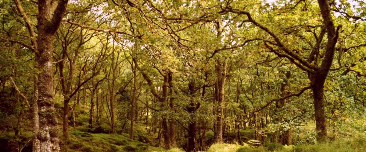 walk to Ben Venue summit