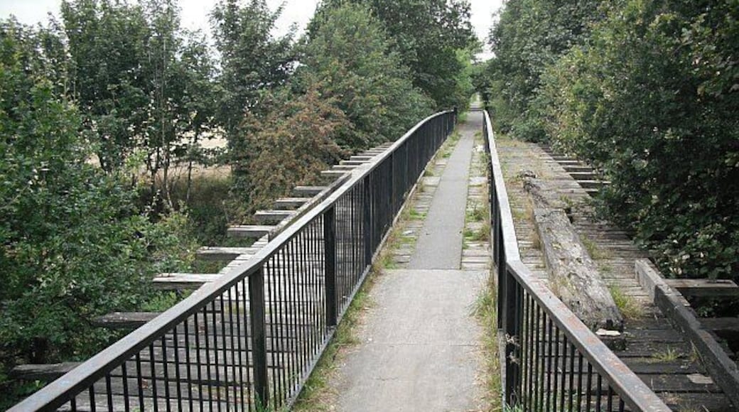Bridge, Polmaise mineral line, near Fallin