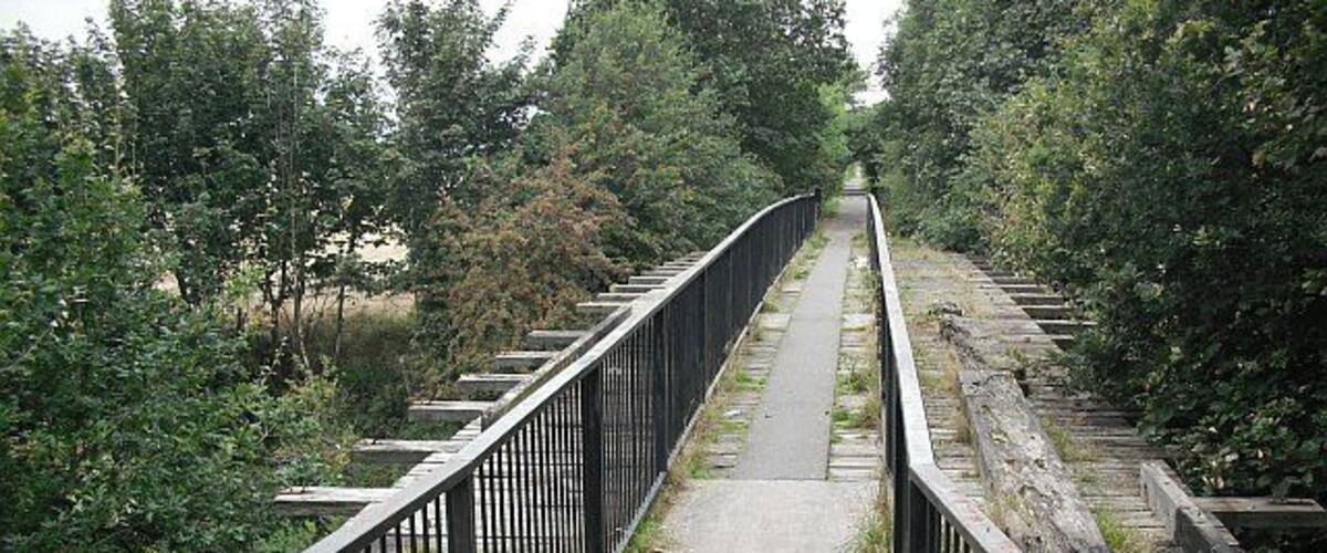A narrow pedestrian bridge with metal railings, surrounded by dense greenery.