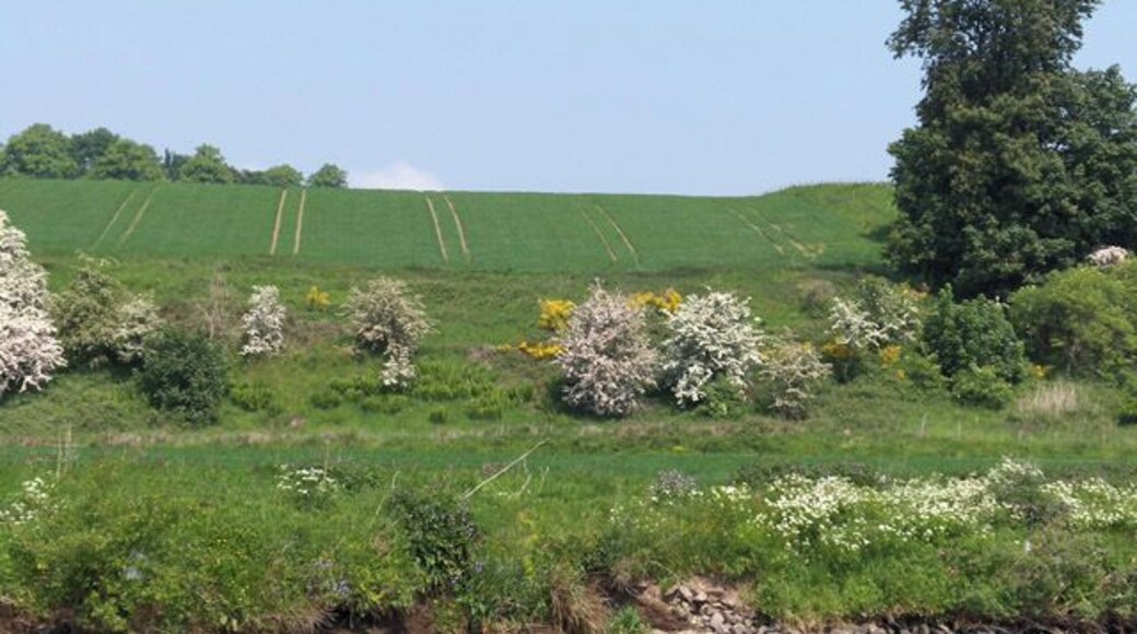Farmland at Row. Looking across the Teith from Torr Inch.
