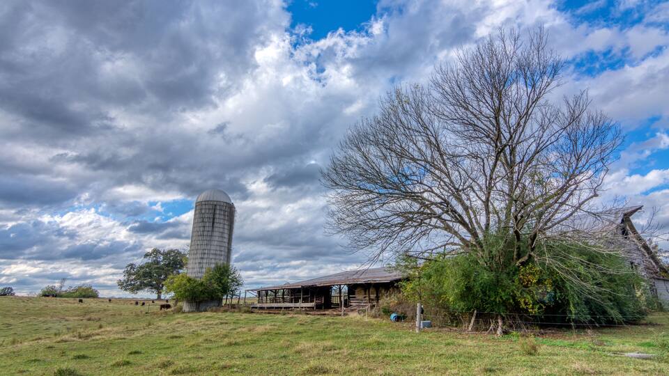 A rural landscape with a silo, a barn, and a large tree.