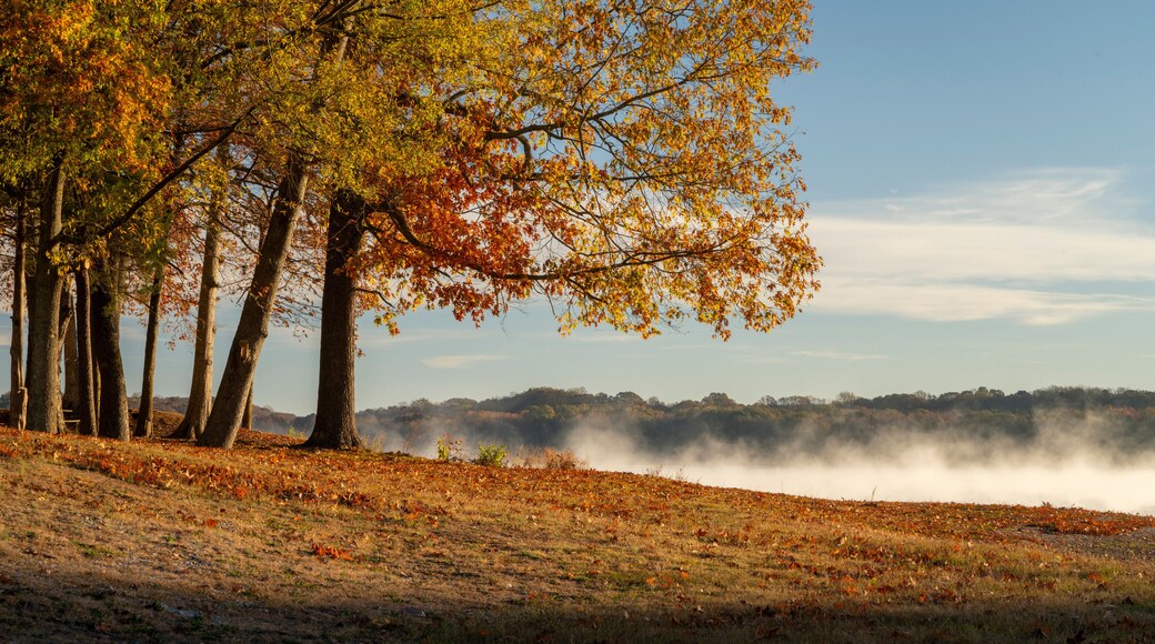 Tennessee River at Colbert Ferry Park, Natchez Trace National Parkway, late November scenery
