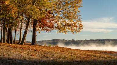Tennessee River at Colbert Ferry Park, Natchez Trace National Parkway, late November scenery