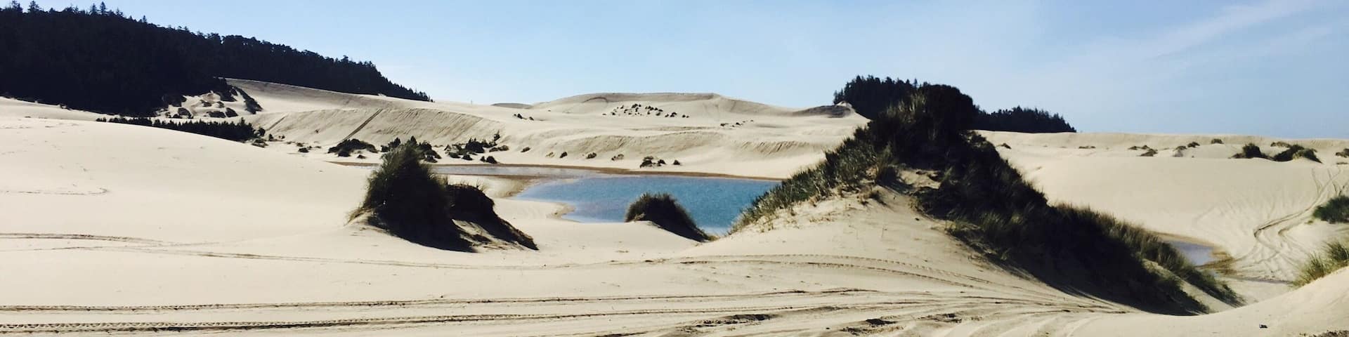 Sand dunes❤️Went camping at Discovery point Rv and rented ATVs. Had direct access from the campsite. Tons of fun.