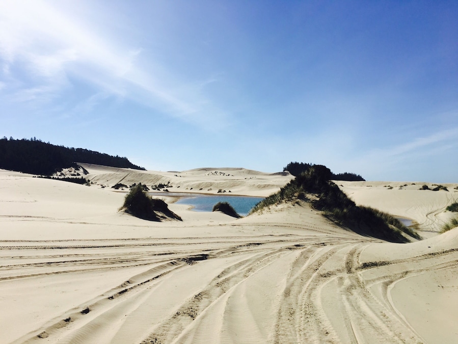 Sand dunes❤️Went camping at Discovery point Rv and rented ATVs. Had direct access from the campsite. Tons of fun.