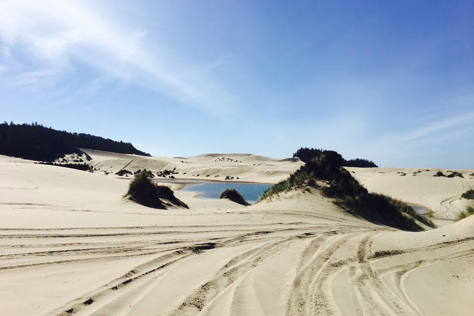 Paisatge desert amb dunes de sorra, un petit cos d'aigua i vegetació escassa.