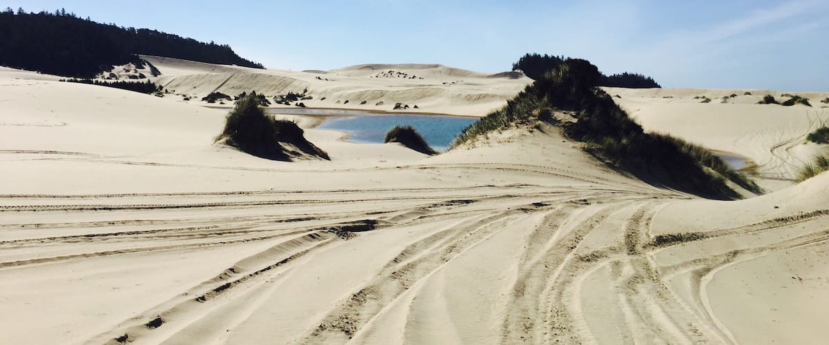 Sand dunes❤️Went camping at Discovery point Rv and rented ATVs. Had direct access from the campsite. Tons of fun.