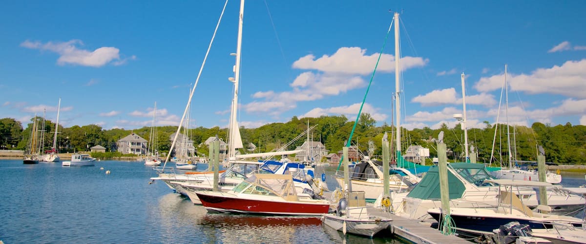 A marina with sailboats docked, a clear blue sky, and a forested shoreline.