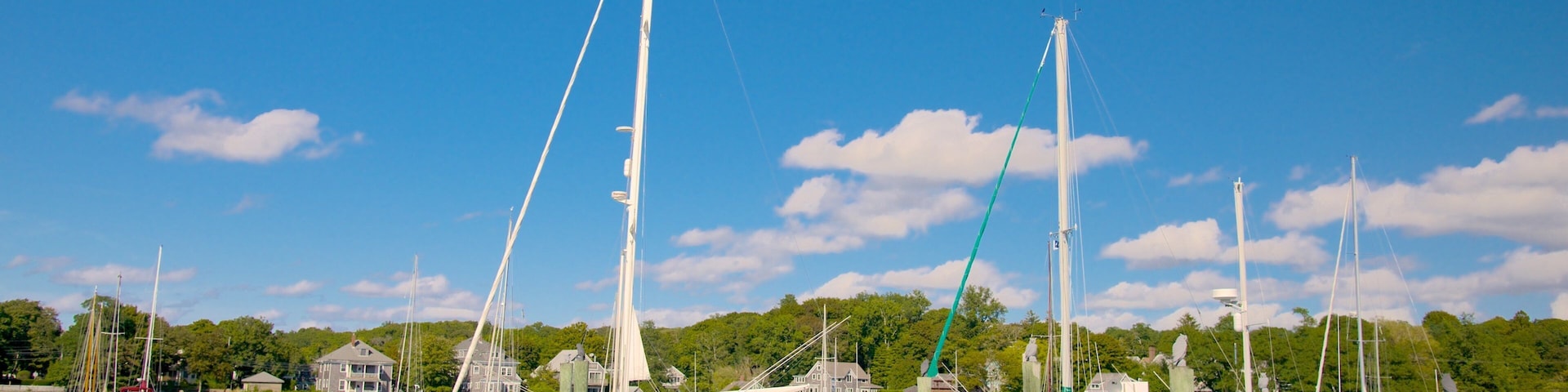 A marina with sailboats docked, a clear blue sky, and a forested shoreline.