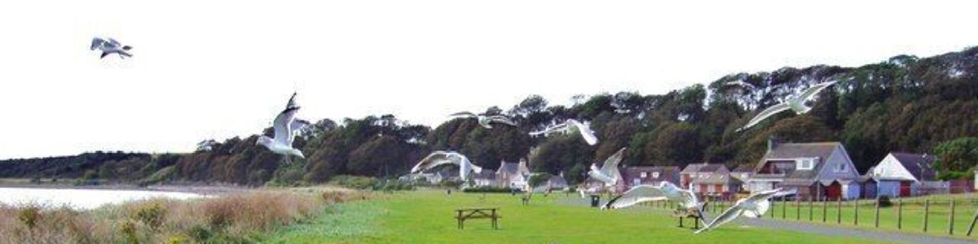 Parking area on the sea front at Sandhead