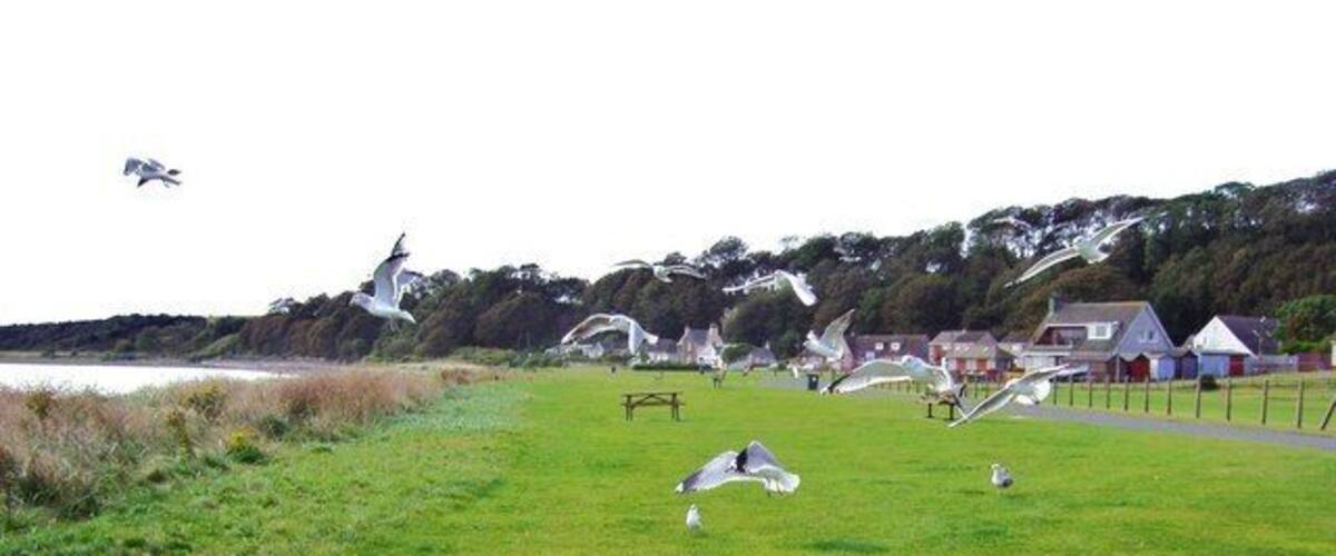 A grassy field with several bird sculptures and a body of water in the background.