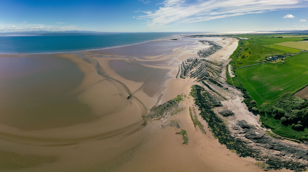 Vista aérea de un paisaje costero con playa arenosa, campos verdes y cielo azul despejado.