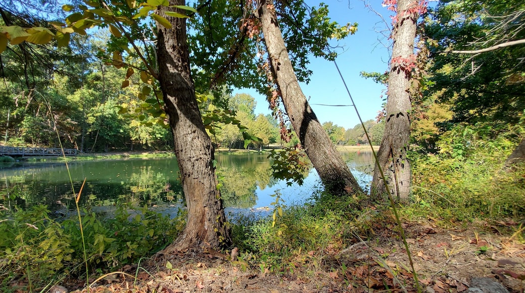 Lake Ponder Trail, Crowley's Ridge State Park, Greene County, Arkansas