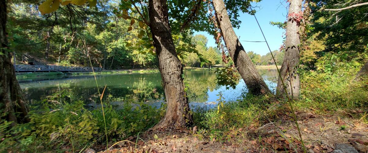 A serene lake surrounded by trees and a metal bridge.