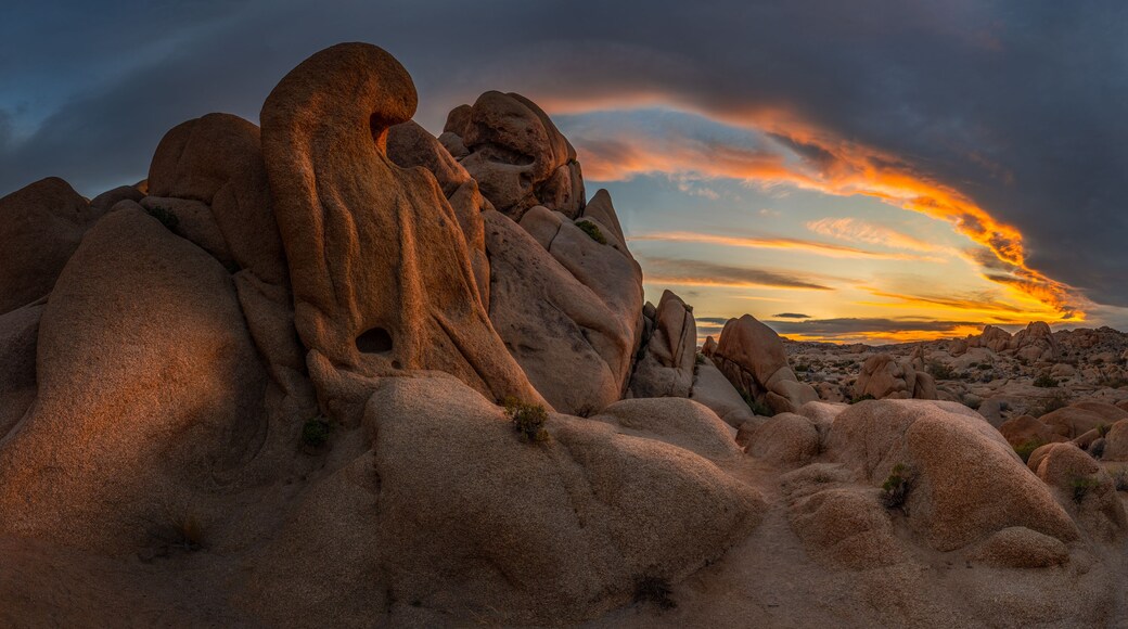 View of the unique rock formations at Joshua Tree National Park during a dramatic sunset with golden light illuminating the desert landscape in Joshua Tree, California, United States.