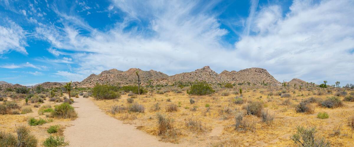 A desert landscape with a dirt path leading to rocky mountains under a partly cloudy sky.
