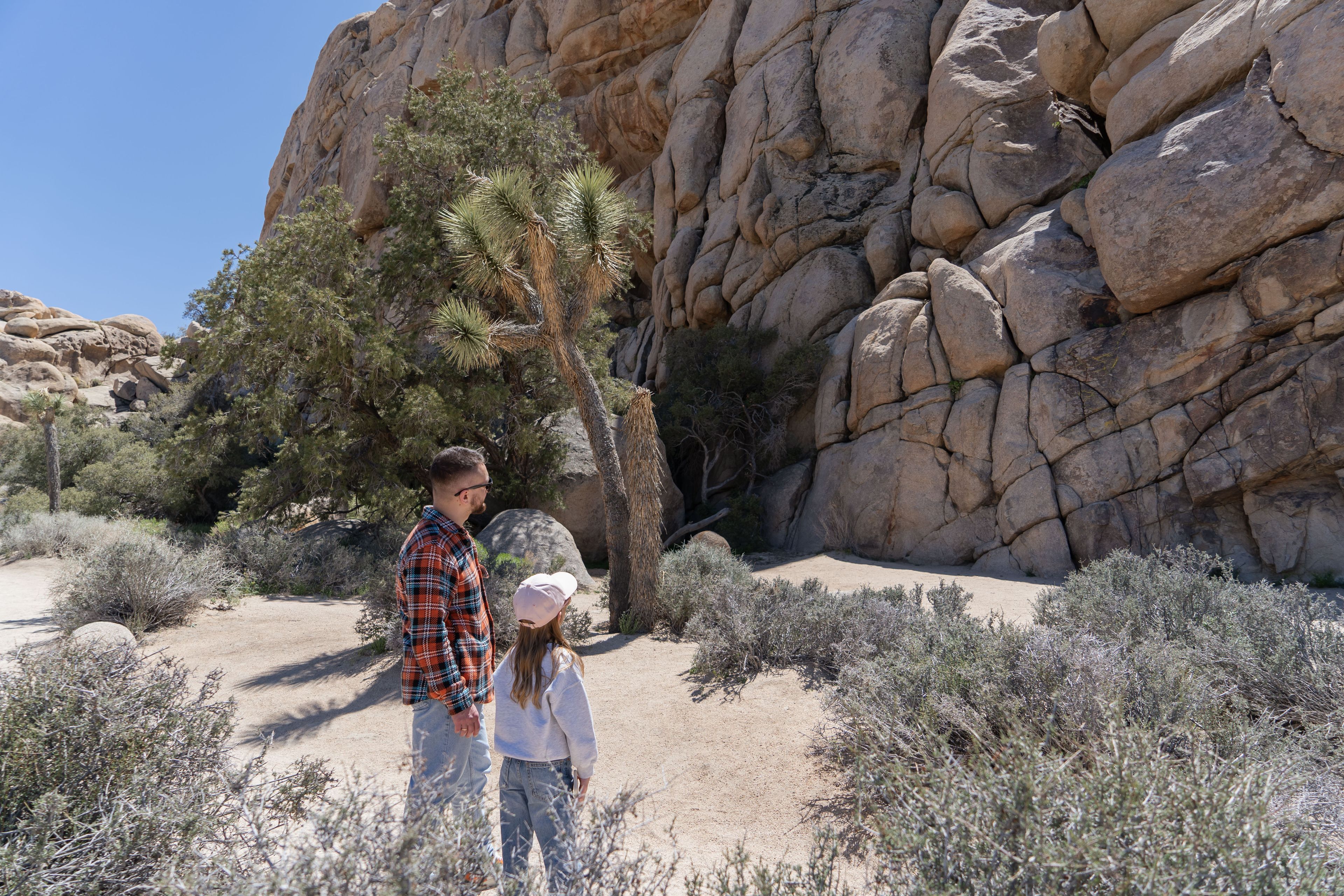 Family in Joshua tree National Park, USA, California