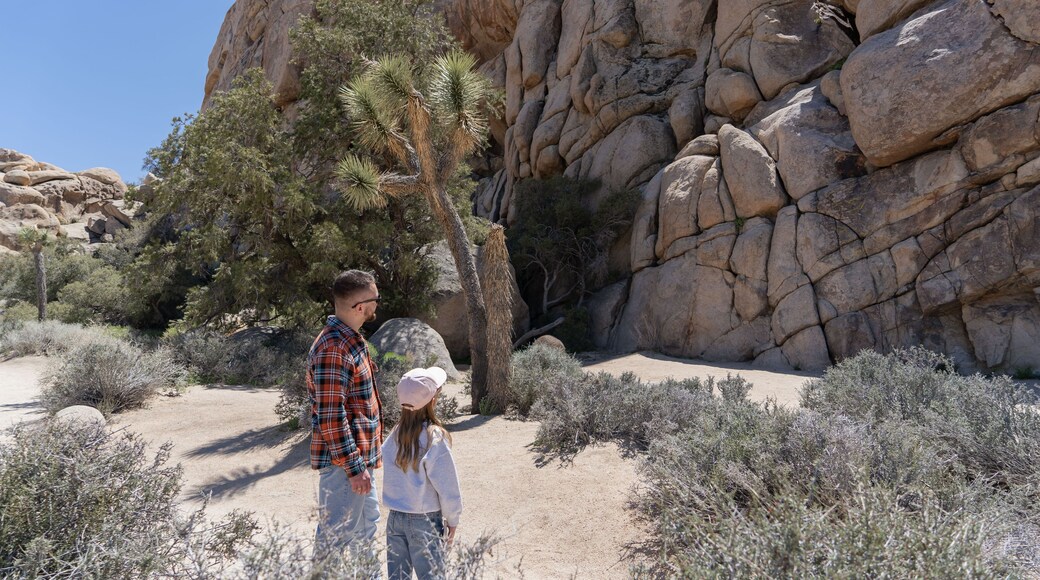 Yucca Valley