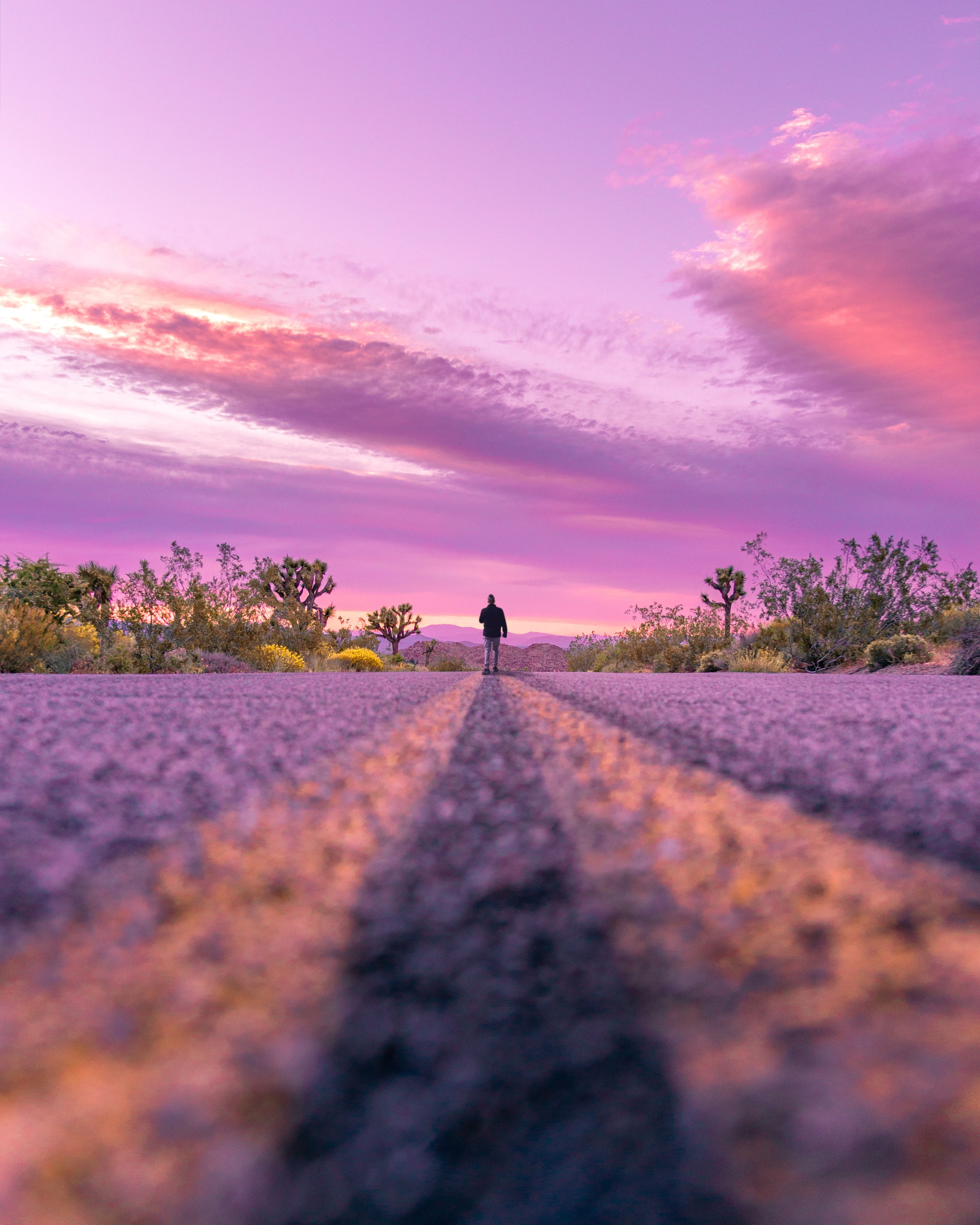 A man standing at a distance on a road in Joshua Tree National Park with a pink and purple sunset in the background. Joshua Tree, California.