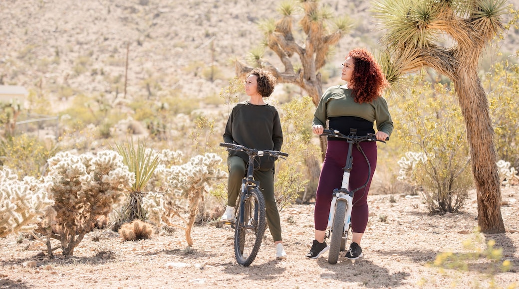 Two women on bikes in desert with joshua trees