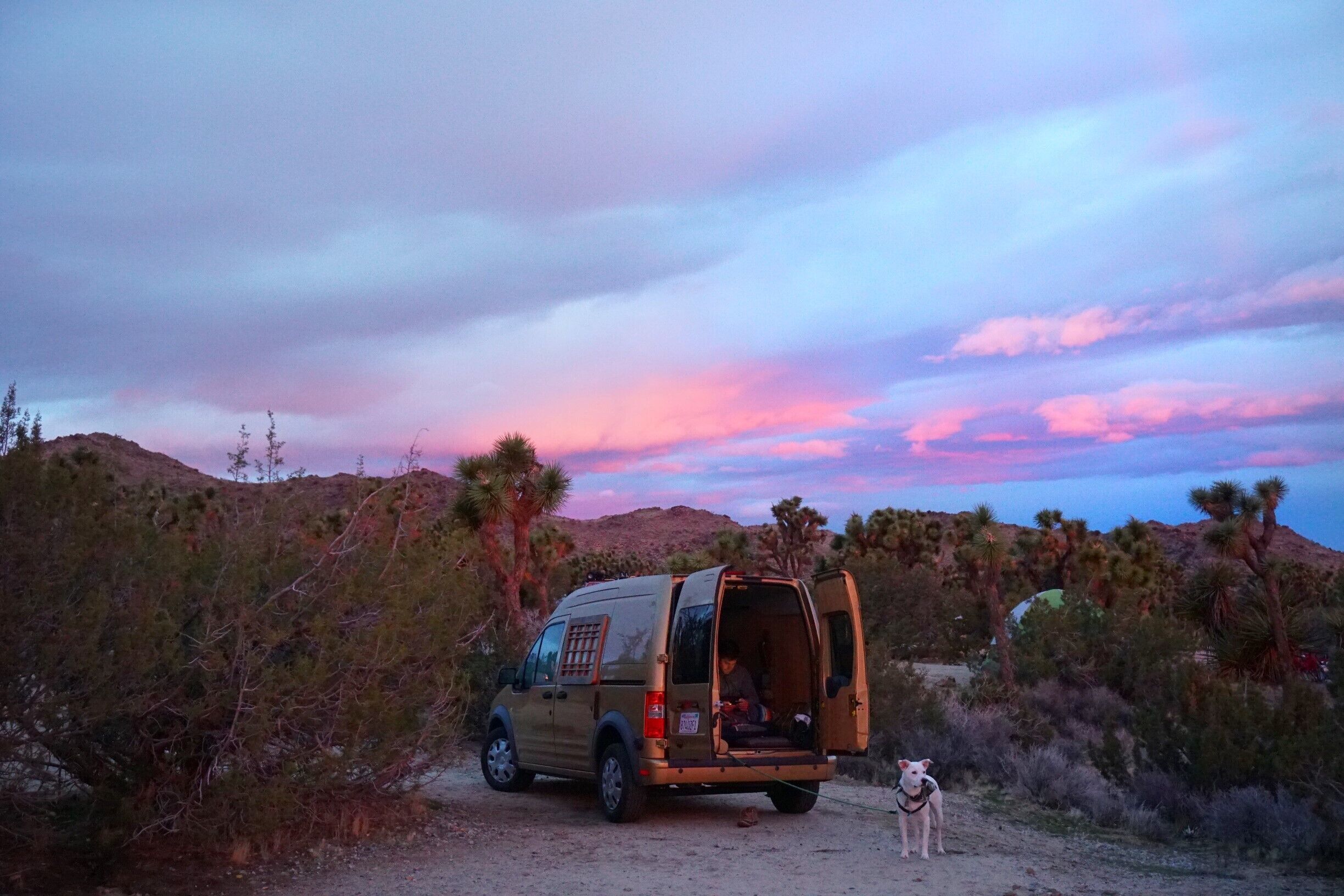 A beige van parked on a dirt road with a dog standing beside it, surrounded by desert vegetation and hills under a colorful sunset sky.