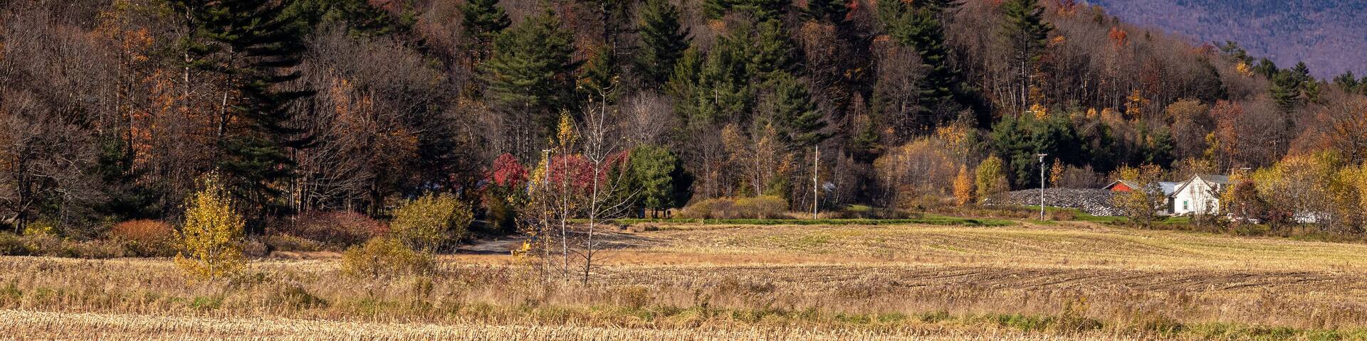 Mount Mansfield Vermont USA at falls