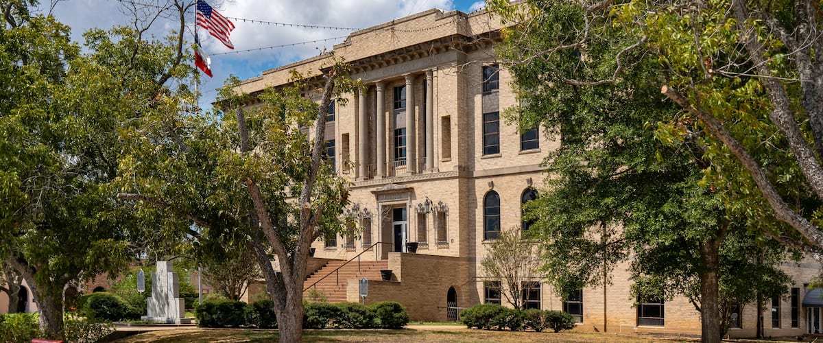 A historic building with columns, surrounded by trees and a flag.