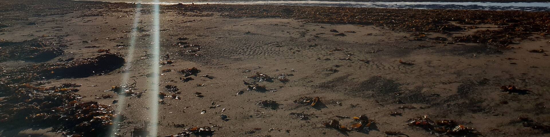 The sun at Troon beach today
