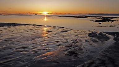 A sunset over a calm beach with wet sand and gentle waves.