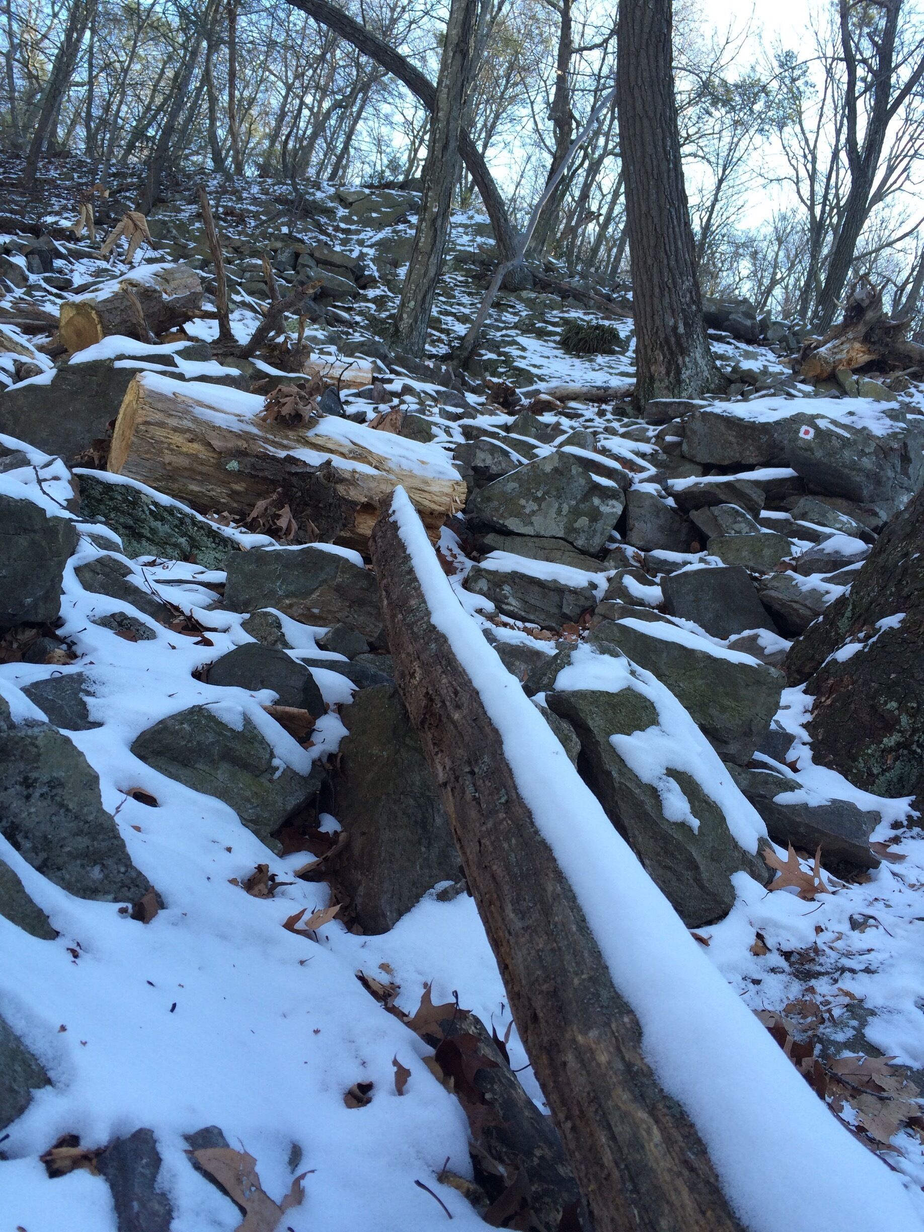 Extremely steep and icy section in higher elevation. Great hike!
#hiking
#outdoors 

