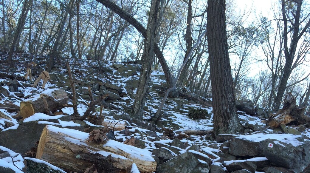 Extremely steep and icy section in higher elevation. Great hike!
#hiking
#outdoors
