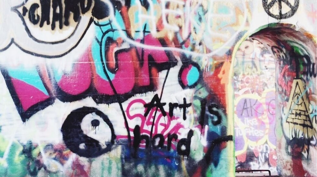 The paulinskill viaducts, is a reinforced railroad bridge and was the largest in the world when completed in 1910. Now abandoned, is covered top to bottom in graffiti. #abandoned #graffiti #bridge #streetart