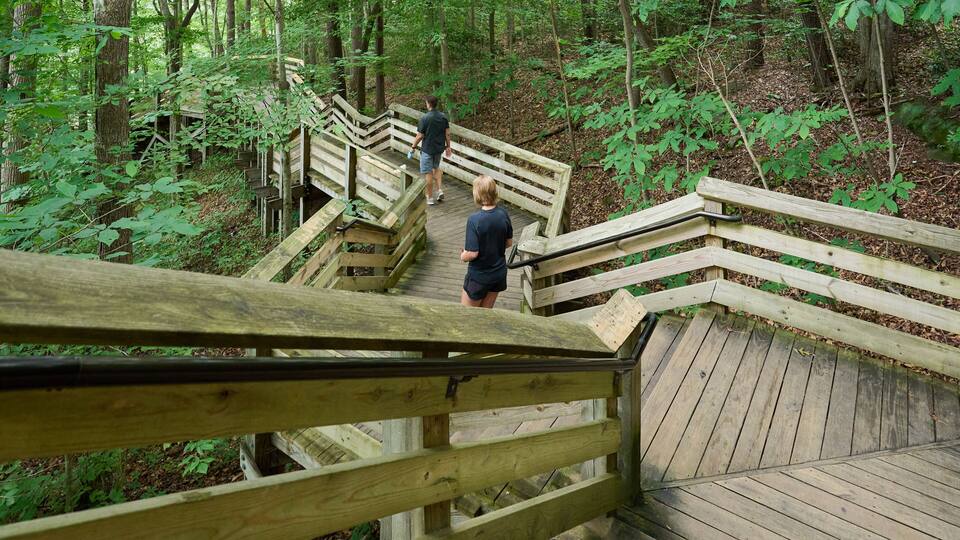 A wooden staircase in a forested area with a person walking up and down.