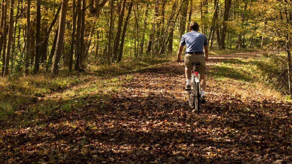 A man riding a bicycle on a leaf-covered path in a forest.