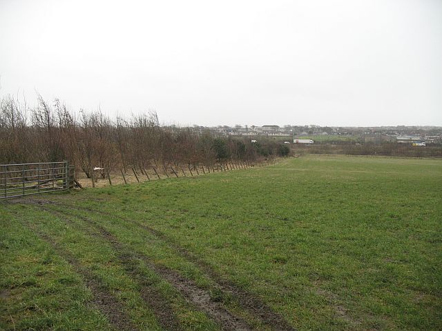 Reclaimed land , Whitburn View over flat fields on what was once mine workings towards the traffic on the M8.